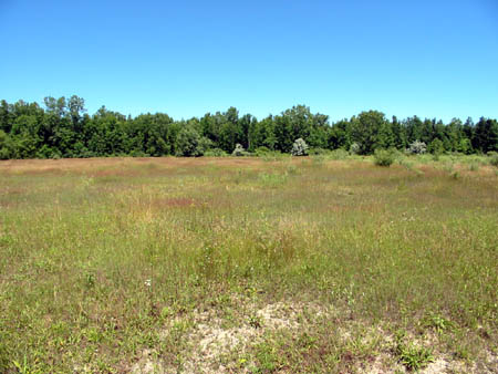 Sunset Drive-In Theatre - Now An Empty Lot - Photo From Water Winter Wonderland (newer photo)